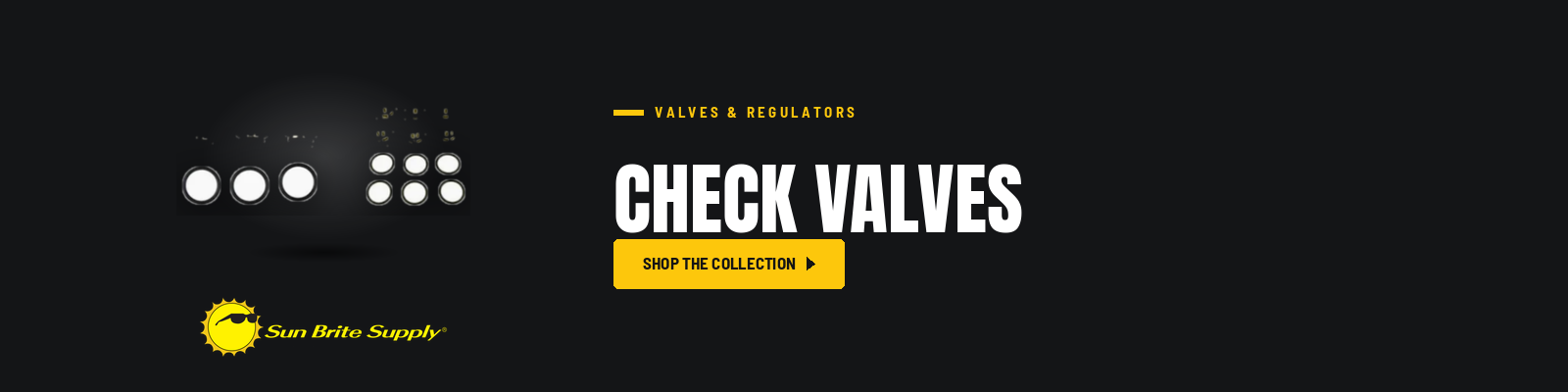 Check Valves collection banner for Sun Brite Supply of Maryland