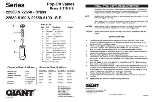 Giant Pumps Giant Pressure Relief 1/4MPT 500-1200psi - Valves