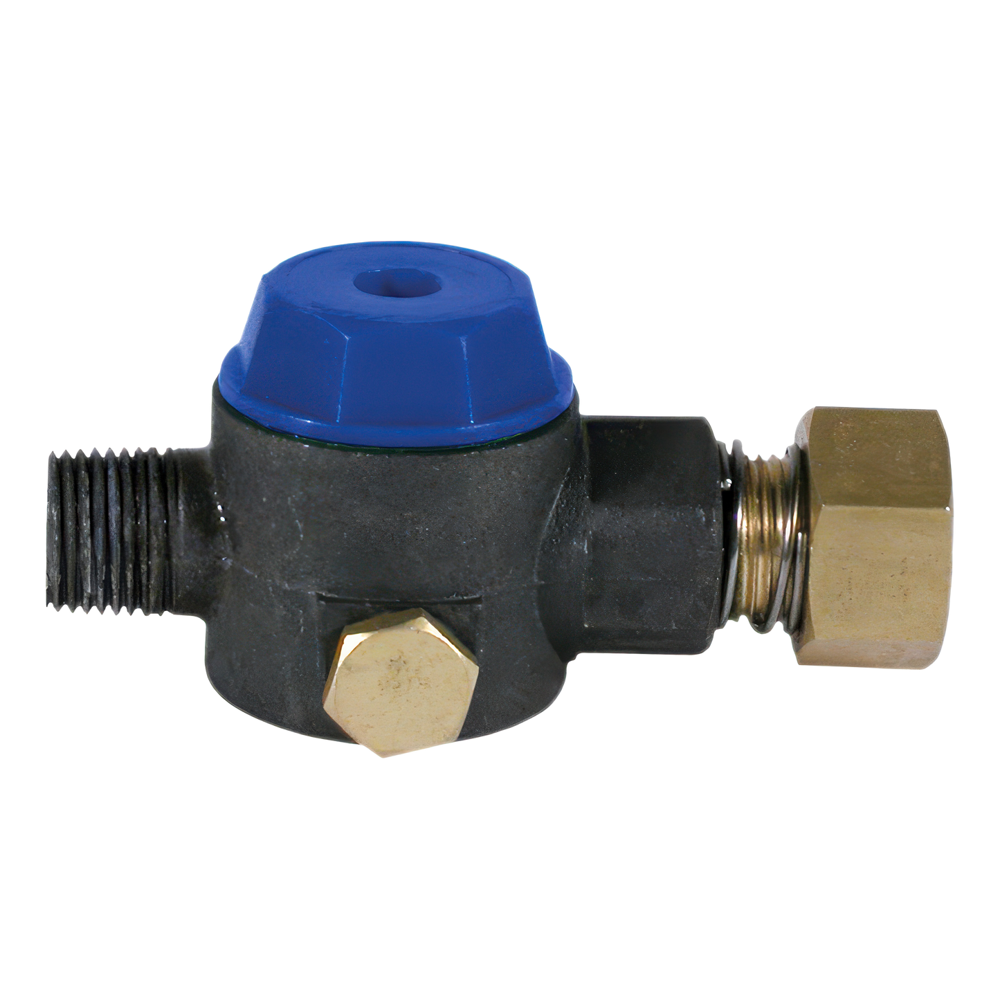 Water Filter Blue Cap W/FGH Inlet & 1/2" MPT - Filters and Strainers