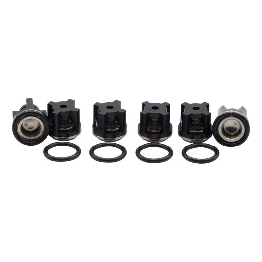 AR AR Check Valve Kit 1828 (XR) - Pumps