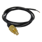 General Pump 3/8" MPT High Limit Switch 230 Deg F With 68" Lead - Valves