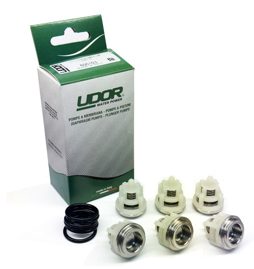 Valve Kit C/Ck/G/Gk Series (kit 3) - SKU 5510 - Pump Part for pressure washing