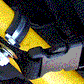 Pole Clamp For Telescoping Wands Belts