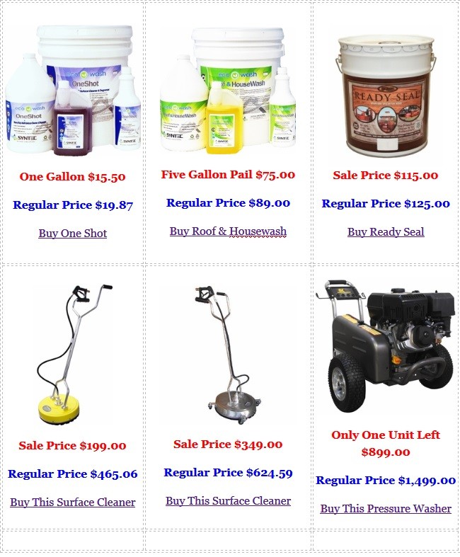 Sun Brite’s SUN~DAY Special